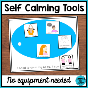 Coping and Self Calming Skills