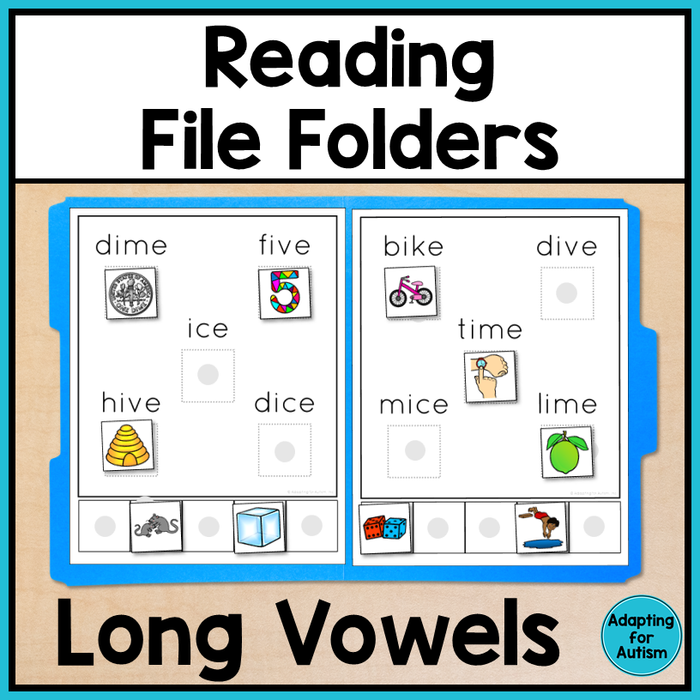 Reading File Folder Games - Long Vowels