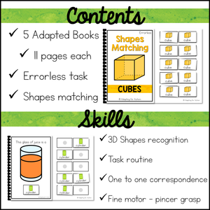 Errorless Learning 3D Shapes Matching Adapted Books