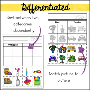 Category Sorting Cut and Paste Activities