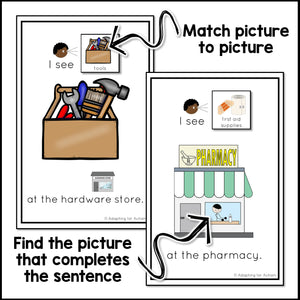 Community Core Words Adapted Books BUNDLE