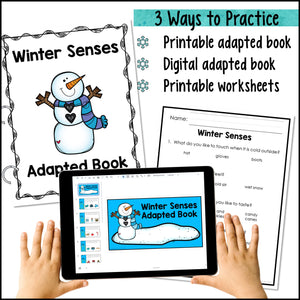 Winter Adapted Book: The 5 Senses