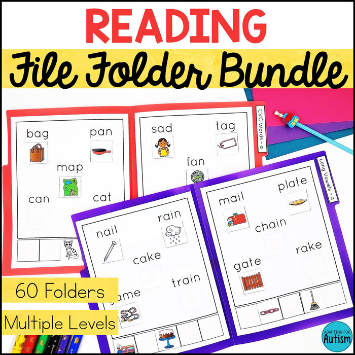 Reading File Folder Games and Activities BUNDLE