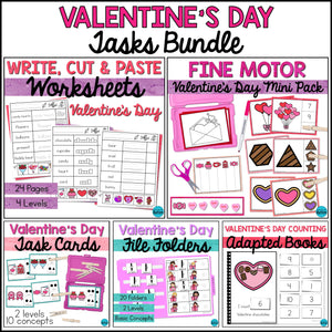 Special Education Valentine's Day Activities - File Folders, Cut & Paste Worksheets & Adapted Books