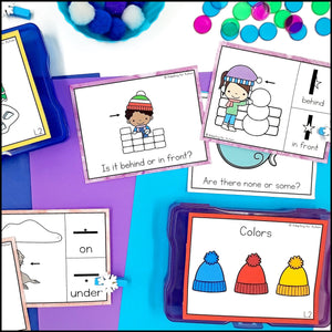 Special Education Task Boxes | Winter Basic Concepts