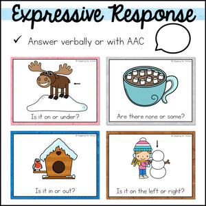 Special Education Task Boxes | Winter Basic Concepts