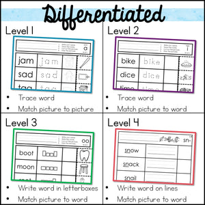 Word Work Worksheets Phonics BUNDLE: Cut and Paste Activities for Special Education