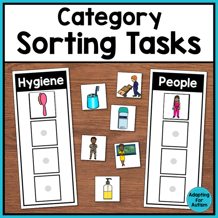 Category Sorting Tasks