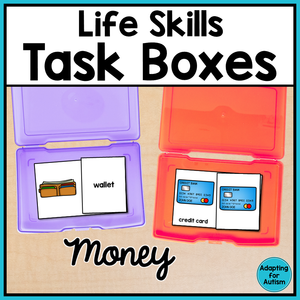 Life Skills Task Boxes - Money Vocabulary