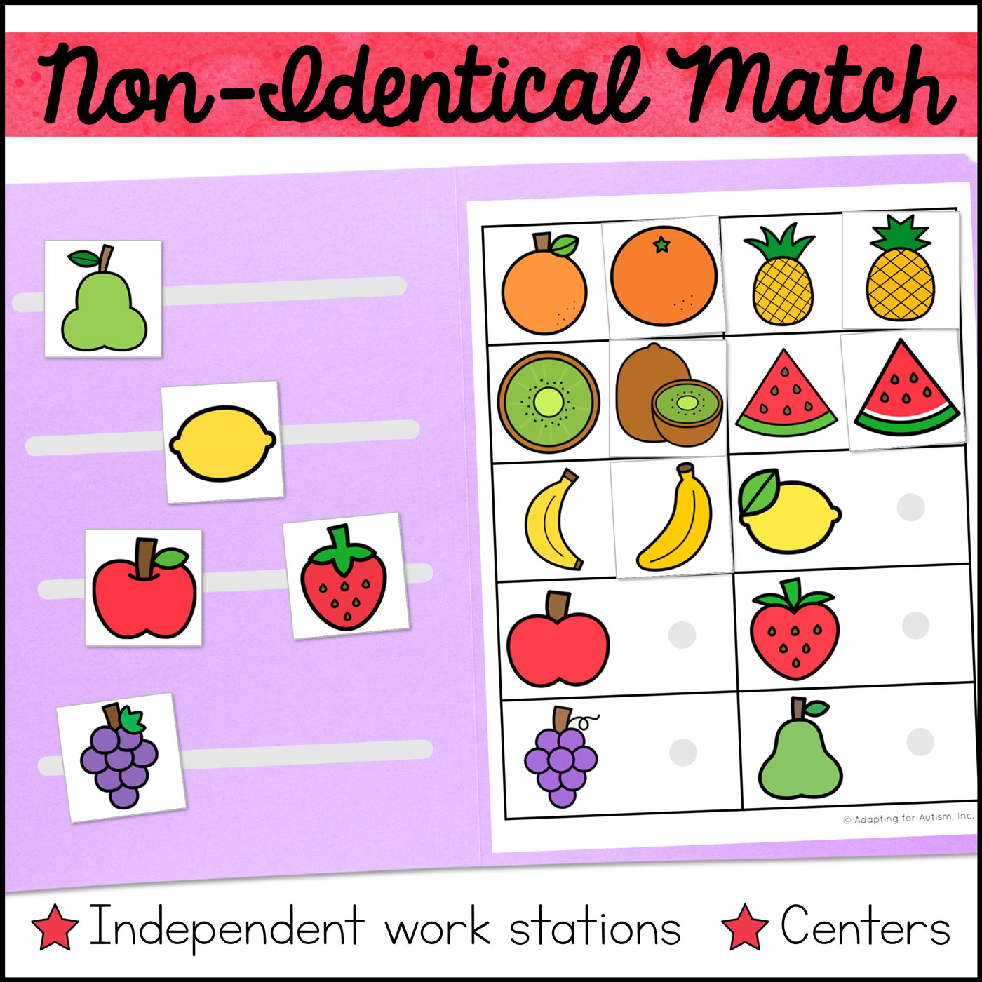 Non-Identical Matching File Folder Games and Activities – Autism Work Tasks
