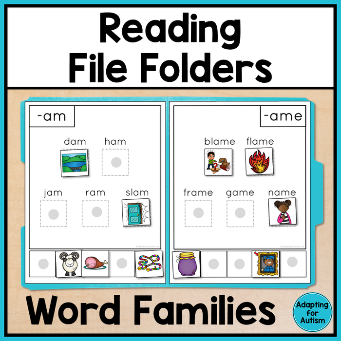 Reading File Folder Games - Word Families