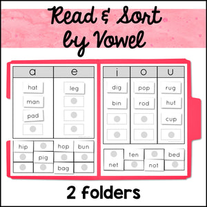 Reading File Folder Games and Activities - CVC Words