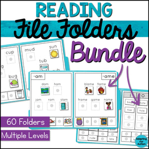 Reading File Folder Games and Activities BUNDLE