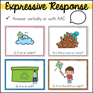 Special Education Task Boxes | Spring Basic Concepts