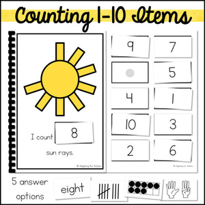 Summer Counting Activities Math Adapted Books | Count 1-20