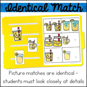 Visual Discrimination Matching File Folder Games and Activities