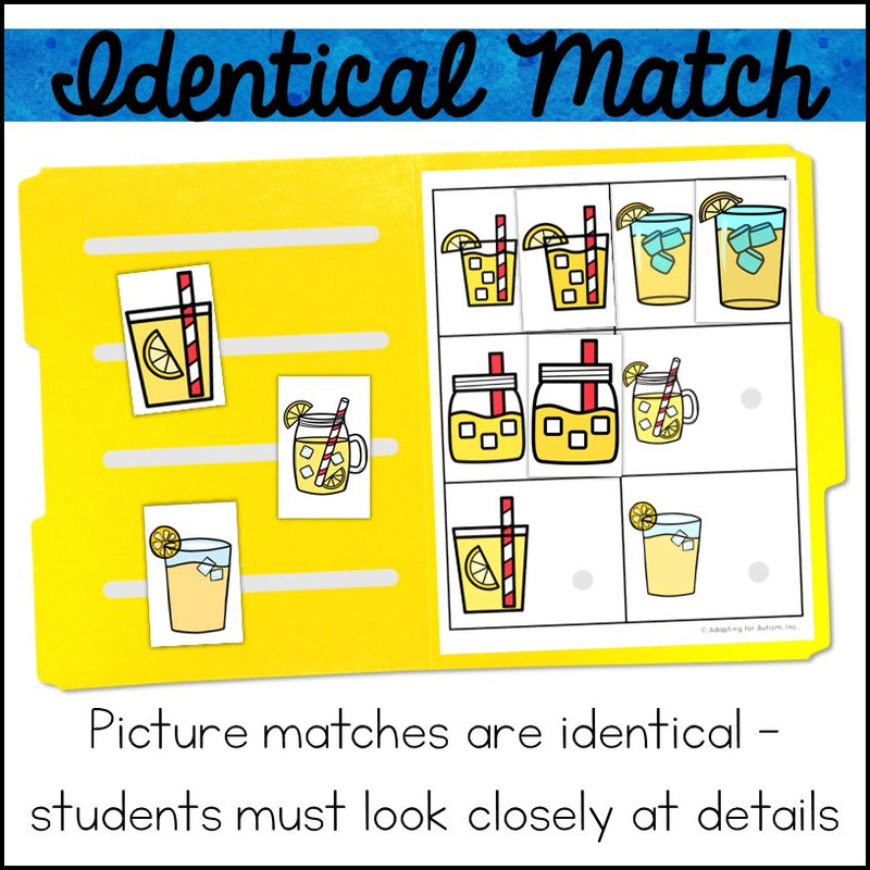 Visual Discrimination Matching File Folder Games and Activities ...