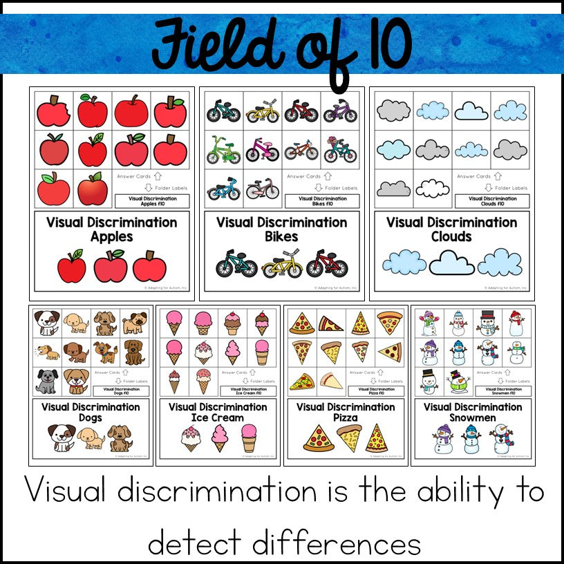 Visual Discrimination Matching File Folder Games and Activities ...
