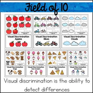 Visual Discrimination Matching File Folder Games and Activities